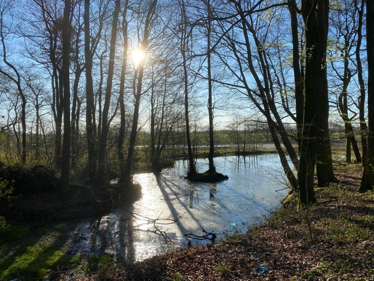 Nyopfort Luksusvaerelse I Naturskonne Og Rolige Omgivelser Branderup Exteriör bild