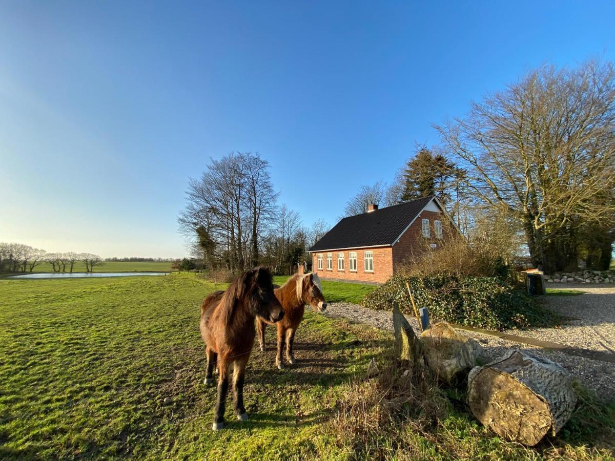 Nyopfort Luksusvaerelse I Naturskonne Og Rolige Omgivelser Branderup Exteriör bild